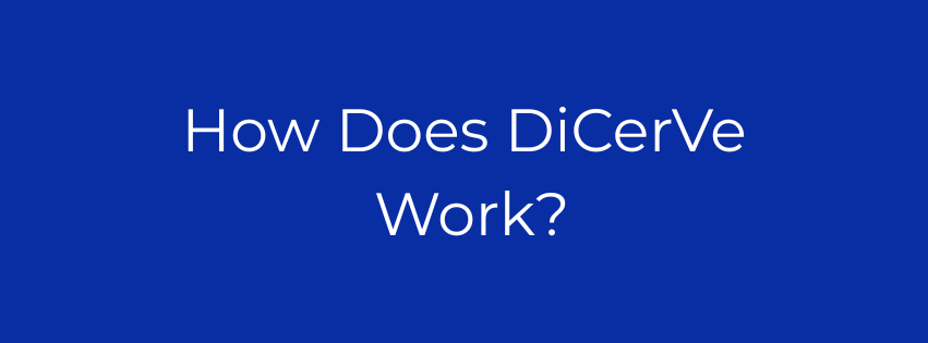How Does DiCerVe Work